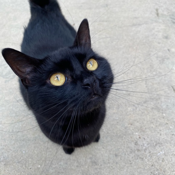 Meet your Posher, April - Picture 2 of 2